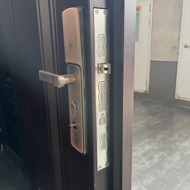 Custom Heat Transfer Steel Security Front Anti-Thief Door Apartment